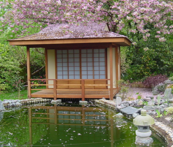 Koi pond